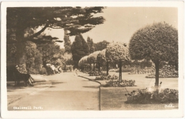 GB - E - Chalkwell Park - Real Photo Bell's Photo Co. N° N° 2466. (circ. 1956) - [Southend-on-Sea] - Southend, Westcliff & Leigh