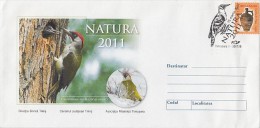 488FM- BIRD, GREEN WOODPECKER, COVER STATIONERY, 2011, ROMANIA - Spechten En Klimvogels