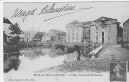 21 - Mirebeau-s/Bèze. (Côte-d'Or) - La Bèze, En Amont Des Moulins.- Animée. - Mirebeau
