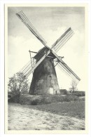 Carte Postale - KASTERLEE - Oostmolen (Terlo) - Moulin - CPA  // - Kasterlee