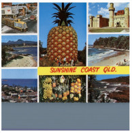 (419) Australia - QLD - Big Pineapple - Sunshine Coast