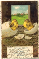 Ostern, Küken, Sign. Mailick, 1905 - Mailick, Alfred