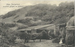 Klein Zwitserland Tusschen Bergen En Schoorl;  1917 - Schoorl