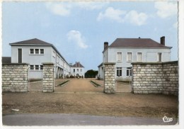 PLEUMARTIN - Groupe Scolaire  . CPM Dentelée - Pleumartin