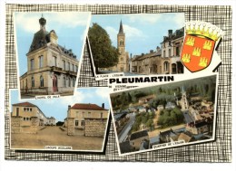 PLEUMARTIN - Multivues . RARE .  CPM Dentelée - Pleumartin