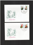 DDR - 16 2 1988 2 FDC BROMELIEN - 1981-1990