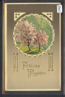 PENTECÔTE - PFINGSTEN - TB - Pinksteren