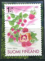 Finlande 2007 - YT 1826 (o) Sur Fragment - Used Stamps