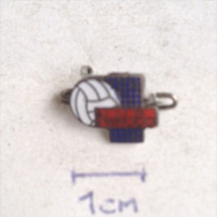 Badge (Pin) ZN001016 - Volleyball Netherlands Federation / Association / Union (NeVoBo) - Volleybal