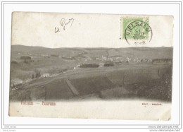 Vielsam Panorama 1906 Dos Entier - Vielsalm