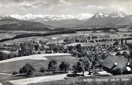 Gerzensee Und Die Alpen - Gerzensee