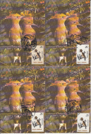 BIRDS, HOOPOE, CM, MAXICARD, CARTES MAXIMUM, 4X, 1993, ROMANIA - Piciformes (pájaros Carpinteros)