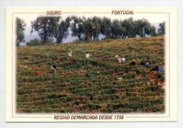 DOURO, Vila Real - Região Dos Vinhos Do Porto (2 Scans) - Vila Real