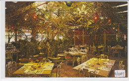 PO7843# FLORIDA - CLEARWATER -  KAPOK TREE INN MALL - PATIO DINING - PIANTE TROPICALI  No VG - Clearwater