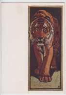Tiger  In USSR Art   1958 - Tigres