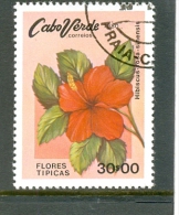 1980 CAP VERT Y & T N° 442 ( O ) Hibiscus - Cap Vert