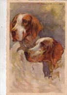 CANI  DA  CACCIA    , Illustratore  Corbella - Corbella, T.