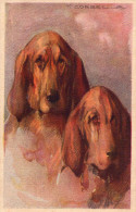 CANI  DA  CACCIA    , Illustratore  Corbella - Corbella, T.