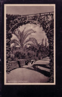 AK :Bad Pyrmont - Palmengarten - Karte Gel.1930 - Bad Pyrmont