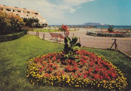 CPM Meze Le Jardin Public, Le Tambourin, La Colline Du Mont Saint-Clair à Sète - Mèze