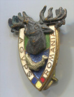 ARCHERY / SHOOTING - Hunting, Romania, Enamel, Vintage Pin, Badge - Boogschieten