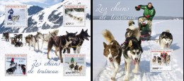 Niger 2014, Sledge Dogs, 4val In BF +BF - Faune Arctique