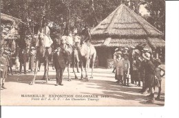 Expo 1922 ;les Chameliers Touaregs - Internationale Tentoonstelling Voor Elektriciteit En Andere