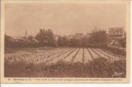 44  SAVENAY         VILLE  SITUEE  AU  MILIEU CAMPAGNE PLANTUREUSE PRAIRIES VERDOYANTES - Savenay