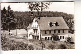 5920 BAD BERLEBURG - LAIBACH, Hotel Pension "Erholung", Landpoststempel, 1960 - Bad Berleburg