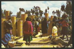 ECUADOR Saquisili Indian Market Cotopaxi Province - Equateur