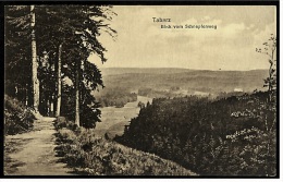 Tabarz - Bei Gotha / Thür. Wald  -  Blick Vom Schnepfenweg  -  Ansichtskarte Ca.1920    (3886) - Tabarz