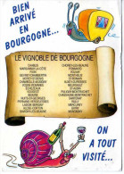 VIGNOBLE DE BOURGOGNE  Carte Humouristique  Vin Chablis Pommard Etc - Vignes