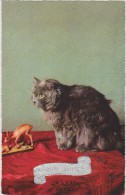 BONNE ANNEE,avec Chat,cat,poilu,sur Table à Nappe Rouge,made In Italy,rare - Año Nuevo