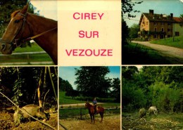 54-CIREY SUR VEZOUZE..ECOLE D'EQUITATION..5 VUES....CPM - Cirey Sur Vezouze
