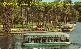 FLORIDA-SILVER SPRINGS--NEW GLASS BOTTOM BOATS - Fort Lauderdale