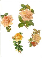 Lot De 4 Chromo-decoupi : Roses - Flowers