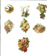 Lot De 7 Chromo Découpi :  Fleurs Et Oiseaux - Fleurs