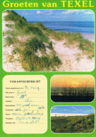 Texel - Texel