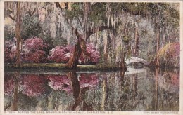 Across The Lake Magnolia On The Ashley Charleston South Carolina - Charleston