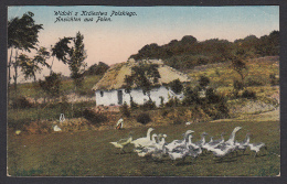 POLAND - Ethnics, Farmhouse And Geese, Bauernhaus Und Gänse, Year 1916 - Europa