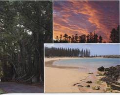 1 X Ile De Norfolk - Norfolk Island - Bunyan Trees, Sunset, Emily Bay - Norfolk Island