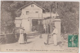 Afrique,1919,nord Algérie,blida,el Bouleida,wilaya,hotel Du Ruisseau Des Singes,le Repas Des Singes De La Montagne,singe - Blida