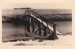 AK Hallig Hooge - Hanswart (10344) - Halligen