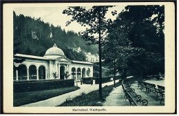 Marienbad  -  Waldquelle  -  Ansichtskarte Ca. 1910    (3856) - Boehmen Und Maehren