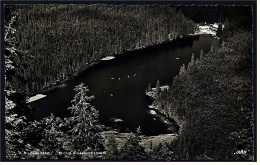 Blick Auf Den Arbersee / Seewand Im Bayrischen Wald  -  Ansichtskarte Ca.1960    (3878) - Bodenmais