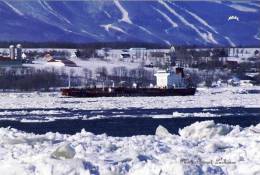 Tanker  Ship Of Eitzen Chemical CPH  The Sichem Paris Near  Quebec City, Quebec, Canada - Tanker