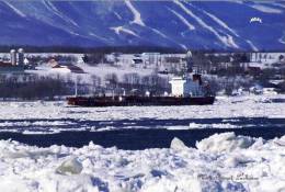 Tanker  Ship Of Eitzen Chemical CPH  The Sichem Paris Near  Quebec City, Quebec, Canada - Pétroliers