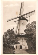 Willemstad Molen - Other & Unclassified