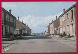 AVESNES-le-COMTE. Rue Pasteur. (C.P.M. - Grand Format. - Renault 4.) - Avesnes Le Comte