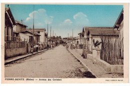 CPA PIERRE BENITE (69): Avenue Des Cerisiers - Pierre Benite